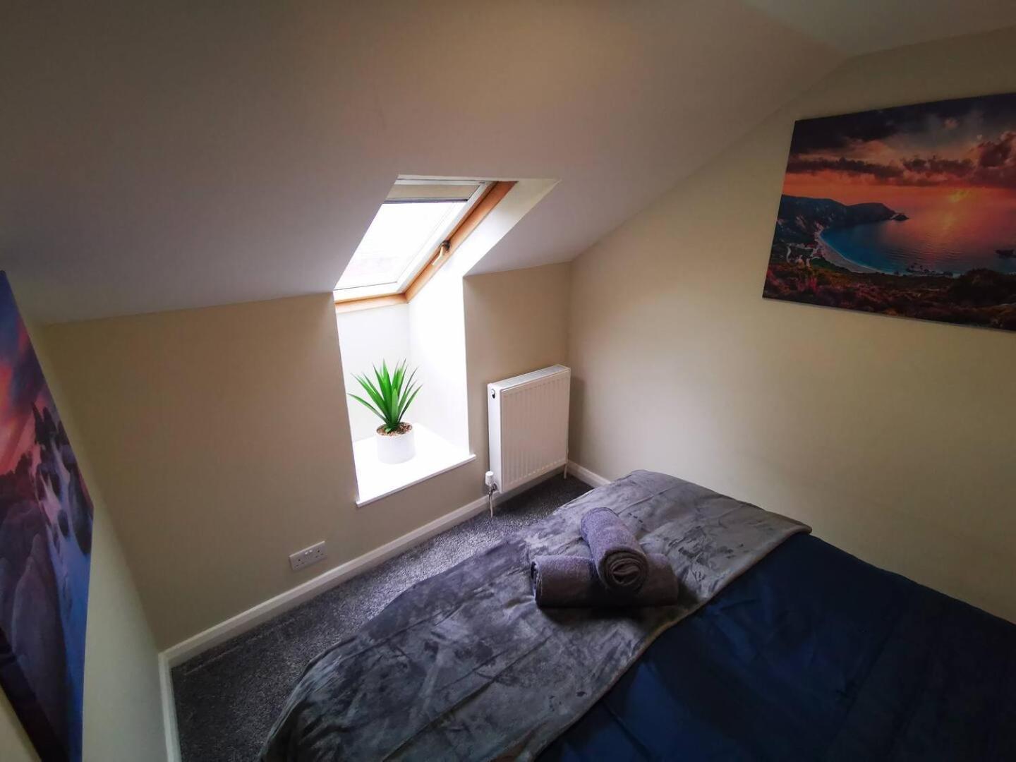 4Br Modern Botanic House Villa Belfast Luaran gambar
