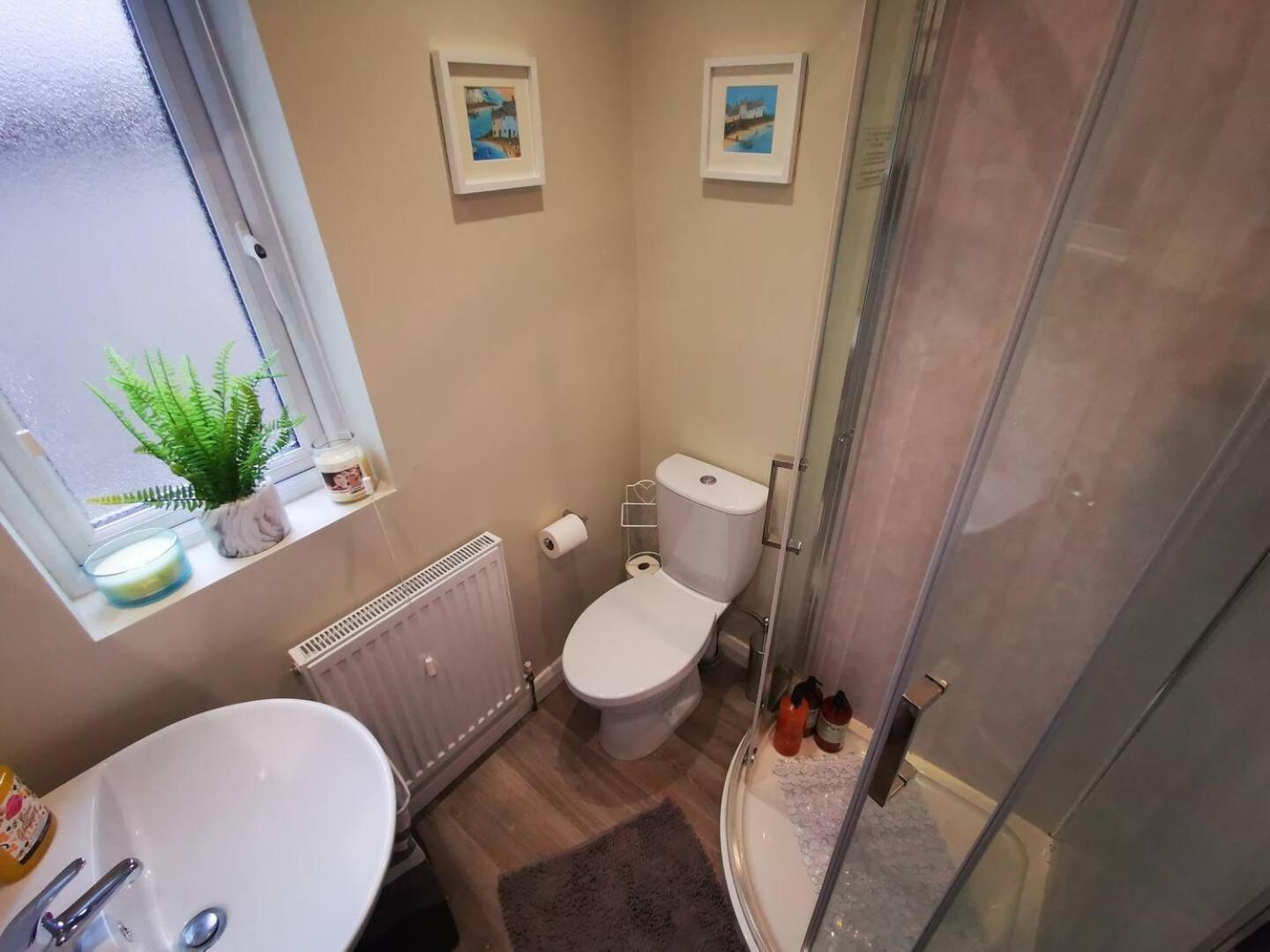 4Br Modern Botanic House Villa Belfast Luaran gambar