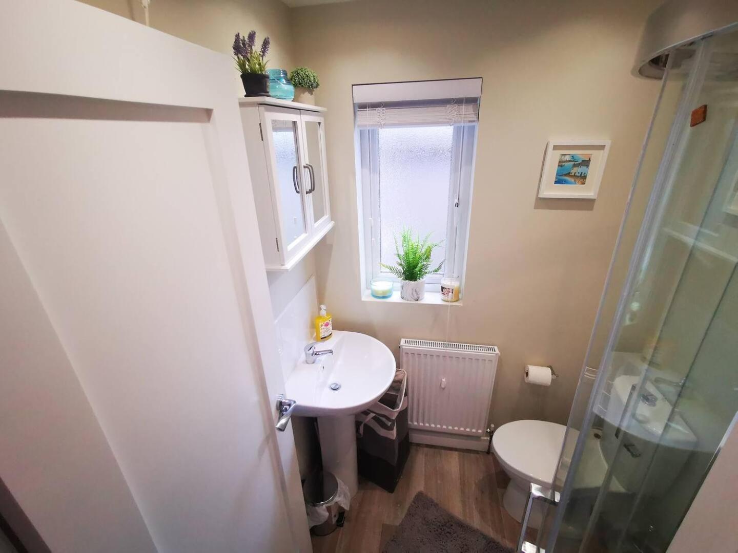 4Br Modern Botanic House Villa Belfast Luaran gambar